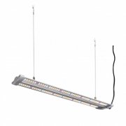 HortiMol T-LED 40W, 60cm