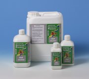 Root Stimulator