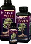 Bonsai Focus 1000 ml